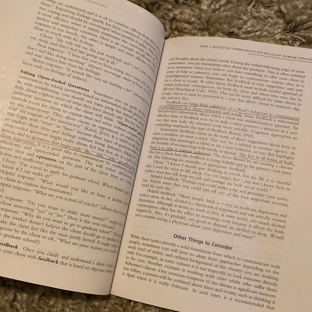An Overview of the Human Services 2nd Edition book